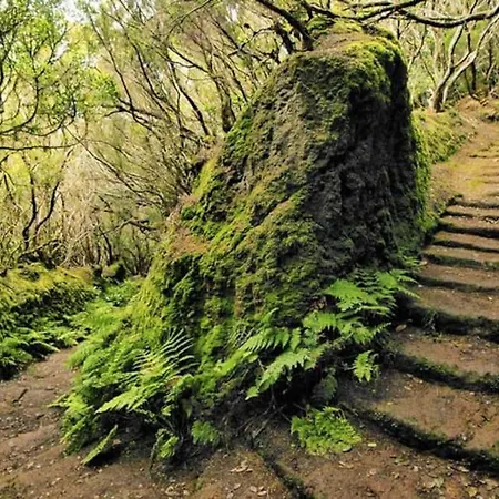 Nueva: Casa La Hondura Сasa de vacaciones Las Eras (Tenerife)