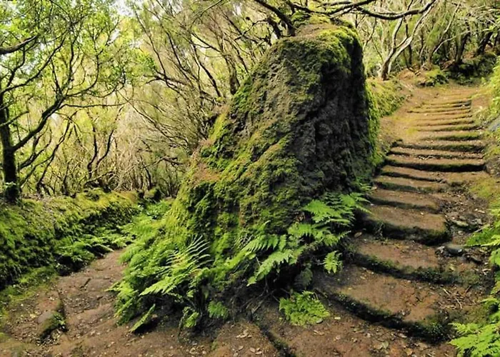 Nueva: Casa La Hondura Дом отдыха Las Eras (Tenerife)